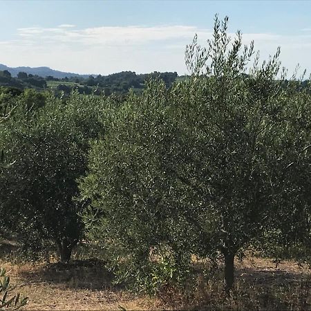 Gite Au Coeur Du Pays Cathare Verzeille Экстерьер фото