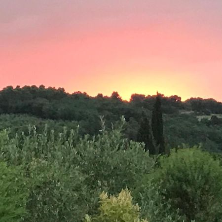 Gite Au Coeur Du Pays Cathare Verzeille Экстерьер фото