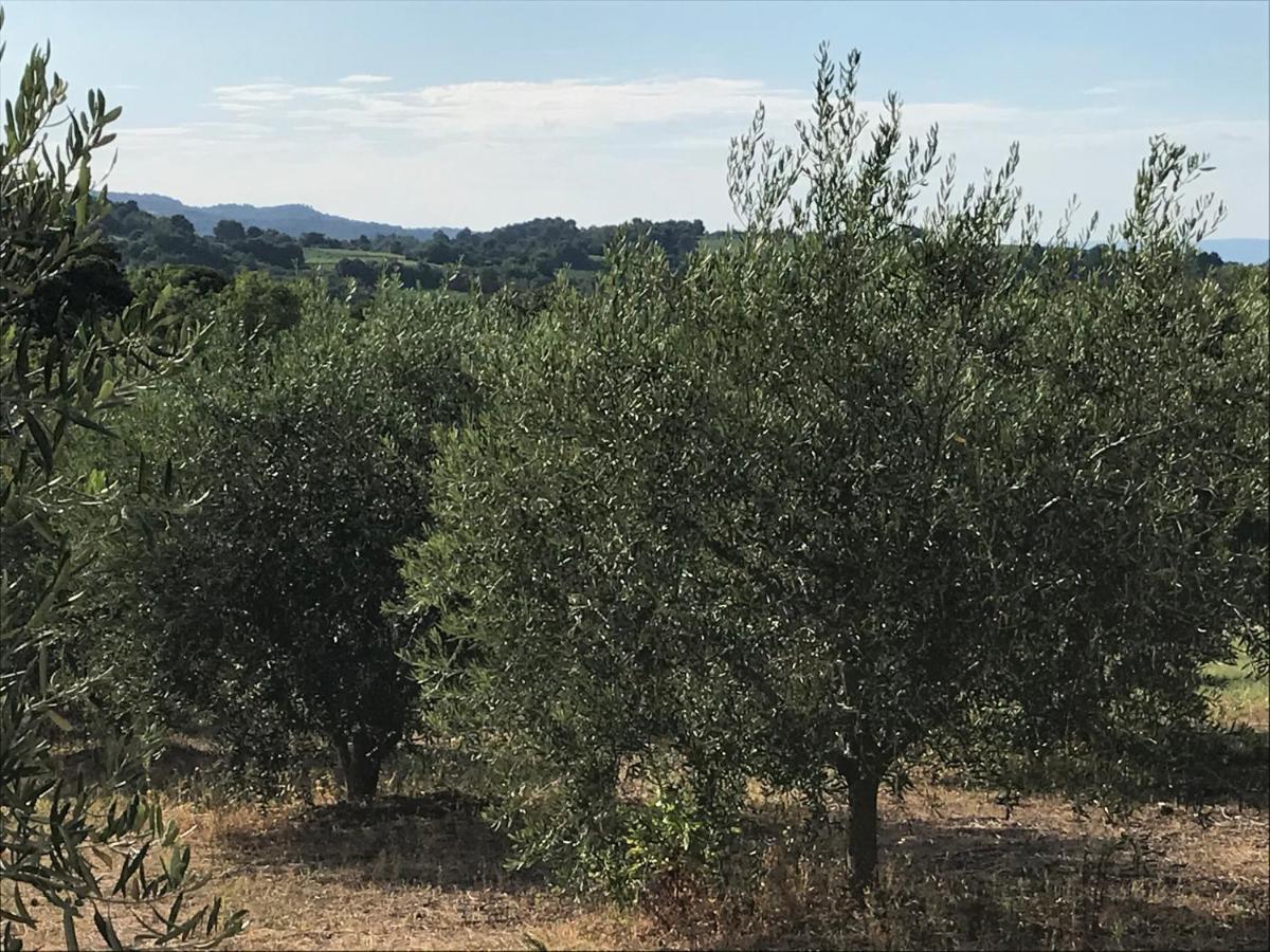 Gite Au Coeur Du Pays Cathare Verzeille Экстерьер фото