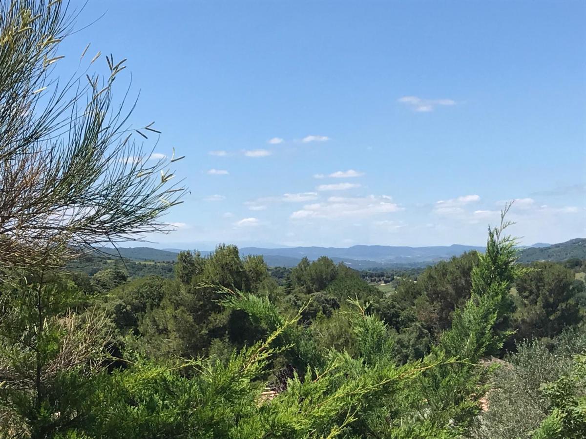 Gite Au Coeur Du Pays Cathare Verzeille Экстерьер фото